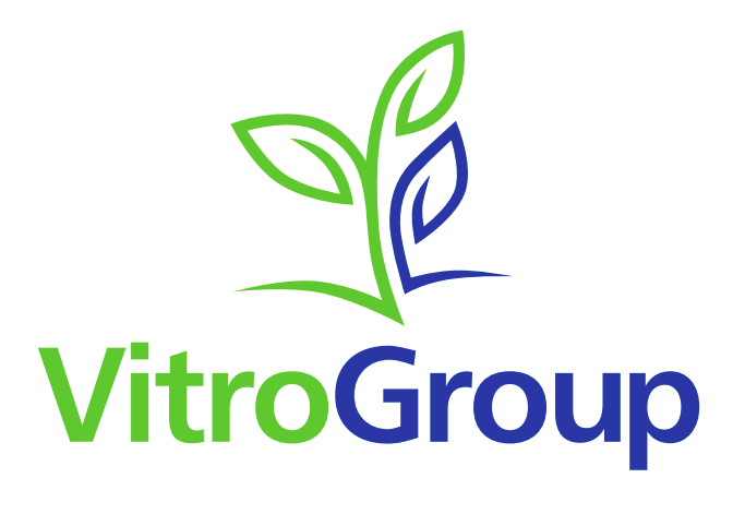 Vitrogroup